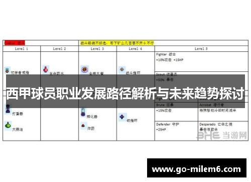 西甲球员职业发展路径解析与未来趋势探讨