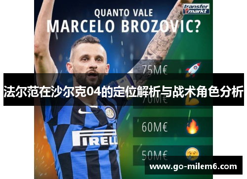 法尔范在沙尔克04的定位解析与战术角色分析